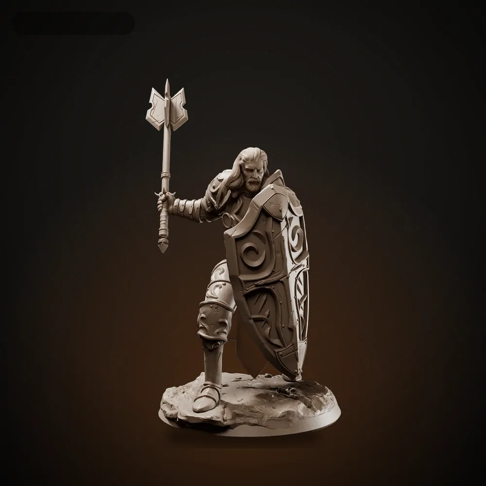 Hero Male Paladin
